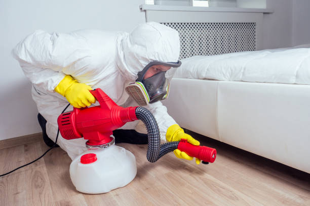 Best Bed Bug Extermination  in Southwest Sandhill, TX